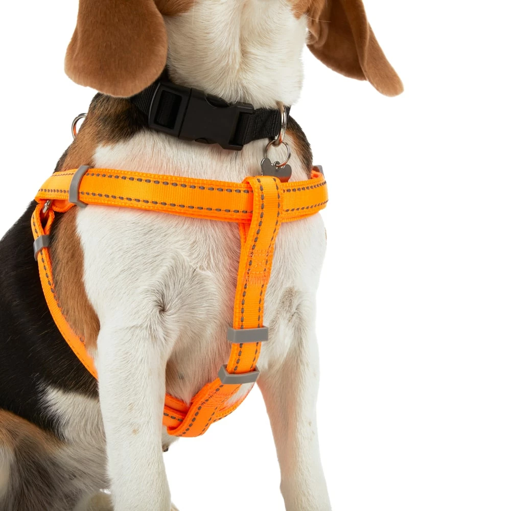 Petco Padded Step-in, Reflective Dog Harness Vest, Adjustable, Assorted Sizes, Orange 5 Petco Padded Step-in, Reflective Dog Harness Vest, Adjustable, Assorted Sizes, Orange - Image 3