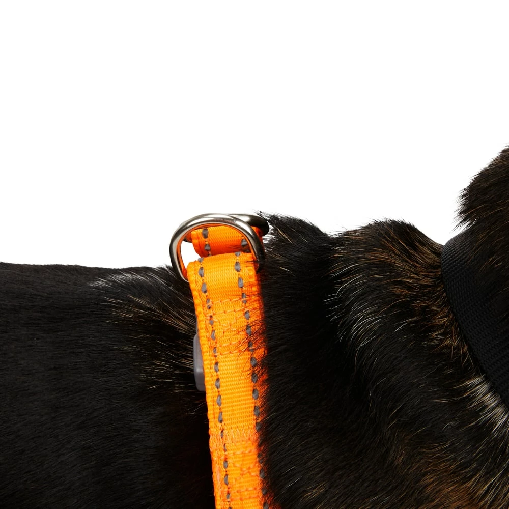 Petco Padded Step-in, Reflective Dog Harness Vest, Adjustable, Assorted Sizes, Orange 4 Petco Padded Step-in, Reflective Dog Harness Vest, Adjustable, Assorted Sizes, Orange - Image 2