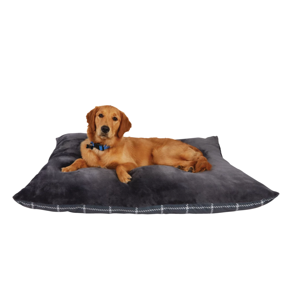 Petco Dual Purpose Décor And Comfort Pet Pillow And Bed, Washable, 35-in X 44-in, Assorted Colours 5 Petco Dual Purpose Décor And Comfort Pet Pillow And Bed, Washable, 35-in X 44-in, Assorted Colours - Image 3
