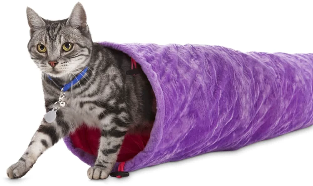 Petco Soft Plush Crinkle Cat Tunnel, 36-in X 10-in, Blue 6 Petco Soft Plush Crinkle Cat Tunnel, 36-in X 10-in, Blue - Image 4