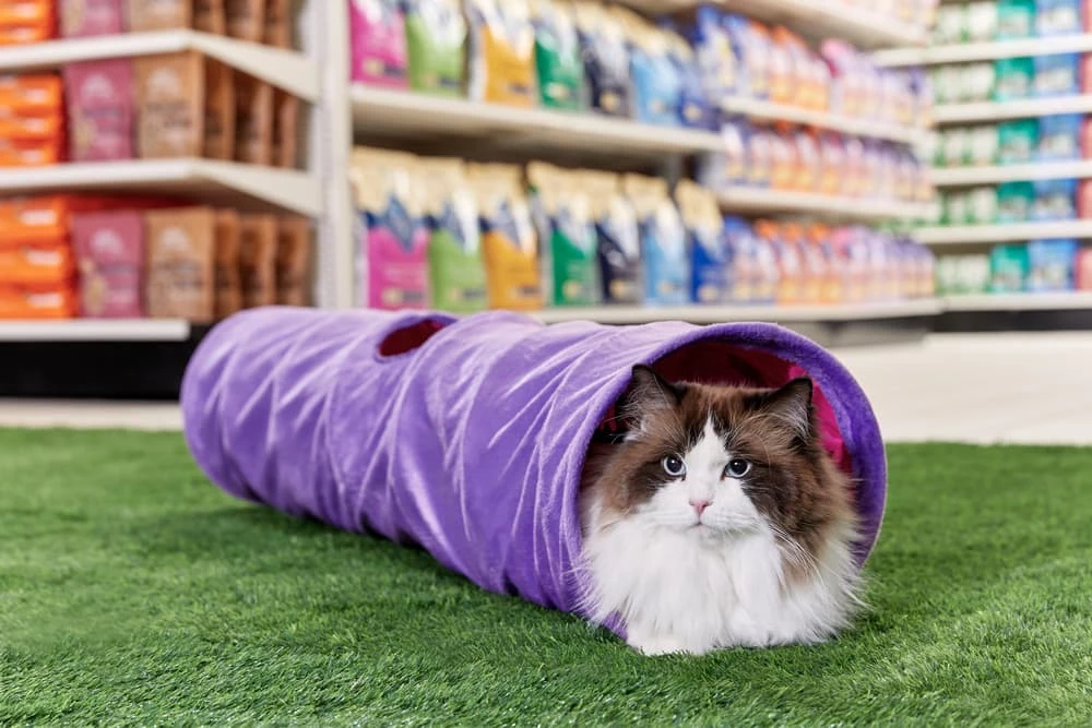 Petco Soft Plush Crinkle Cat Tunnel, 36-in X 10-in, Blue 8 Petco Soft Plush Crinkle Cat Tunnel, 36-in X 10-in, Blue - Image 6