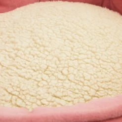 Petco EveryYay Snooze Fest High-Back Bolster Cat Bed, Washable, 18-in X 18-in, Pink -PETCO Discount Store petco princess bed 34b384fa f65a 4d14 861d 4ceb80854715