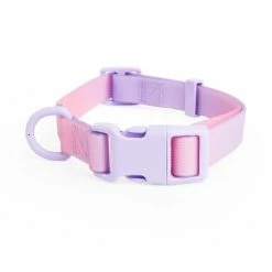 Petco Ombre Wipeable Dog Collar, Purple