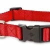 Petco Nylon Dog Collar, Adjustable, Includes Tag Muffer, Large/X-Large, Red -PETCO Discount Store petco red adjustable nylon dog collar 16 26 l xl 8a050f6d 7e7a 4313 a88c 38fe349feaa8
