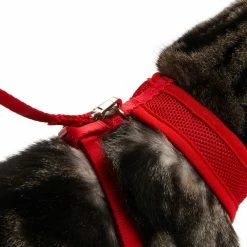 Petco Mesh Cat Harness And Leash Set, Adjustable For Cat Walking, 4-ft, Red 10 Petco Mesh Cat Harness And Leash Set, Adjustable For Cat Walking, 4-ft, Red -PETCO Discount Store petco red mesh cash harness lead set 33570545 53bd 462f 83d0 a439a4db9166