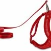 Petco Mesh Cat Harness And Leash Set, Adjustable For Cat Walking, 4-ft, Red -PETCO Discount Store petco red mesh cash harness lead set 404411be ad1e 404d 93f8 eb4adec2d400