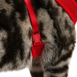 Petco Mesh Cat Harness And Leash Set, Adjustable For Cat Walking, 4-ft, Red 11 Petco Mesh Cat Harness And Leash Set, Adjustable For Cat Walking, 4-ft, Red -PETCO Discount Store petco red mesh cash harness lead set 7dfe531c 62e2 4876 8ba9 8717a52a8c23