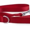 Petco Nylon Dog Leash, 4-ft, Red 2 Petco Nylon Dog Leash, 4-ft, Red -PETCO Discount Store petco red nylon dog leash 4 ft 46e5c388 cadc 4a41 a276 04685e552c32