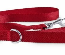 Petco Nylon Dog Leash, 4-ft, Red