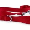 Petco Nylon Dog Leash, Red, 6-ft 1 Petco Nylon Dog Leash, Red, 6-ft -PETCO Discount Store petco red nylon dog leash 6 ft ad012850 75c7 4883 befa fb33500f6b9f