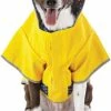 Petco Reversible Dog Raincoat Jacket Hooded, Waterproof With Leash Hole, Small, Yellow 1 Petco Reversible Dog Raincoat Jacket Hooded, Waterproof With Leash Hole, Small, Yellow -PETCO Discount Store petco reversible dog raincoat in yellow small 1416969b 7229 45a2 bf80 e3ed1f129302