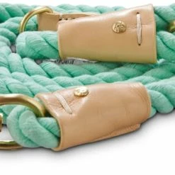 Petco Dog Rope Leash, 6-ft, Turquoise Buff