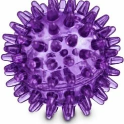Petco Bouncing Spiny Ball Dog Toy, Assorted Colours -PETCO Discount Store petco spiny bone dog toy in assorted colours 2 922b611a 84f9 41fa 9612 38c9722d2102