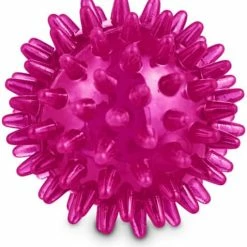 Petco Bouncing Spiny Ball Dog Toy, Assorted Colours -PETCO Discount Store petco spiny bone dog toy in assorted colours 2 de42761a 2f10 4da8 b738 c49ee4a28ba5