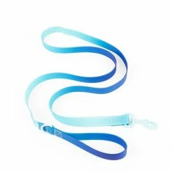 Petco Wipeable Dog Leash, 6-ft, Teal