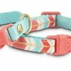 Petco Dog Collar, Adjustable, 2-pk, Turquoise/Coral -PETCO Discount Store petco turqoise coral collar xs s 2pk e43bc4ec 2363 4fd9 ada5 e1ea002a0495