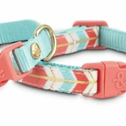 Petco Dog Collar, Adjustable, 2-pk, Turquoise/Coral