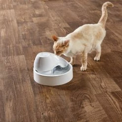 Petco Waterslide Classic Cat Water Fountain, Dishwasher Safe And BPA Free Includes 3 Filters, 50-oz -PETCO Discount Store petco waterslide cat water fountain b22d65c5 39b7 42fb bb75 5ec6fc7461da