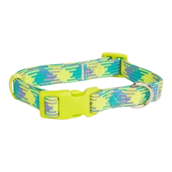 Petco Reflective Dog Collar, Yellow/Blue
