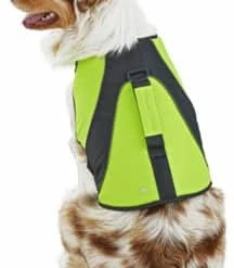 Petco Dog Life Jacket/Flotation Vest, Waterproof , Assorted Sizes, Yellow -PETCO Discount Store petco yellow dog flotation vest large a1cebda9 3608 46eb 9fd1 3c6f7449c74a