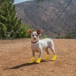 Petco Silicone Dog Boots, Waterproof , Small, Yellow -PETCO Discount Store petco yellow silicone dog boots large ef50745c 1e52 4c7c 89da 82ece0a32e3d