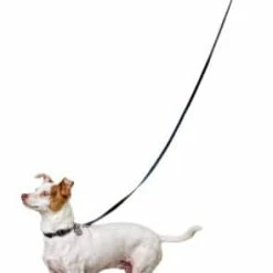 Petco Silicone Dog Boots, Waterproof , Small, Yellow -PETCO Discount Store petco yellow silicone dog boots small 6ae5e694 7230 4d14 9a6d 5c0096f9110a