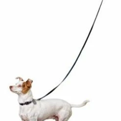 Petco Silicone Dog Boots, Waterproof , Small, Yellow -PETCO Discount Store petco yellow silicone dog boots small ab097b92 e696 47d7 85ac c26e5d035f76